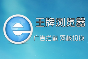 2345王牌浏览器V4.1官方正式版